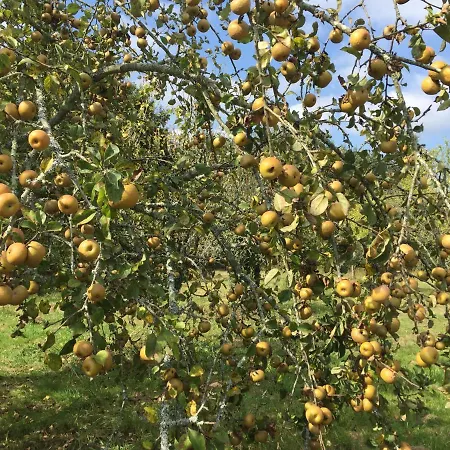 住宿加早餐酒店 La Caverie De Peyroux A 3*