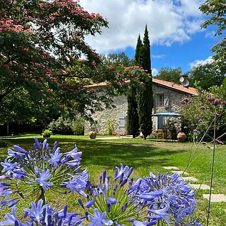 La Caverie De Peyroux A Orthevielle