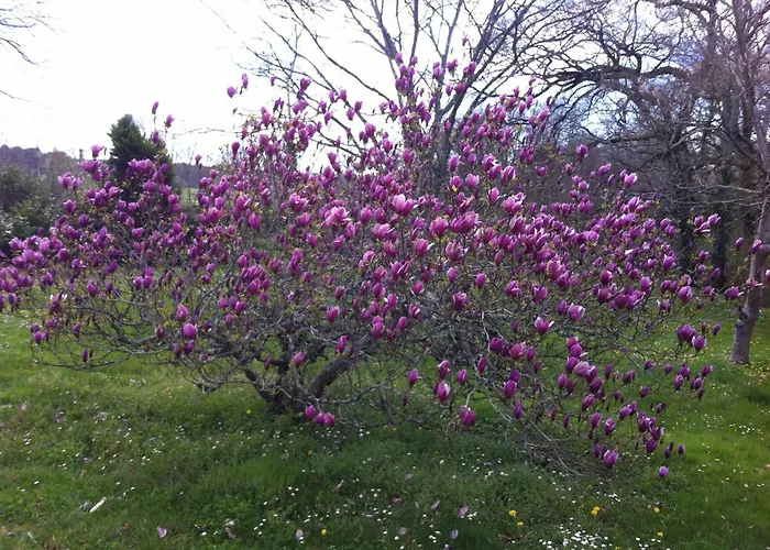 La Caverie De Peyroux A Panzió 3*