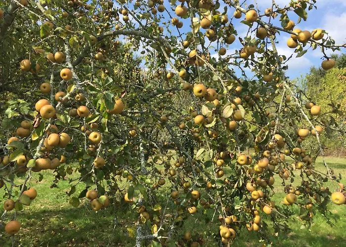 Bed & Breakfast La Caverie De Peyroux A 3*